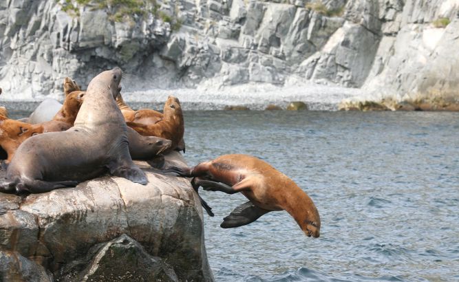 Трутнев поручил оперативно ликвидировать загрязнение воды на Камчатке