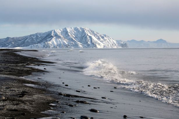 Генпрокуратура взяла на контроль проверку загрязнения воды на Камчатке