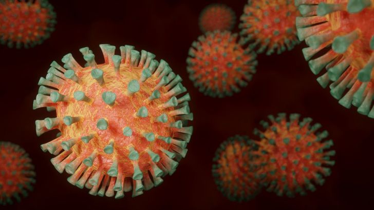 Ученые спрогнозировали вспышку другого заразного заболевания из-за пандемии