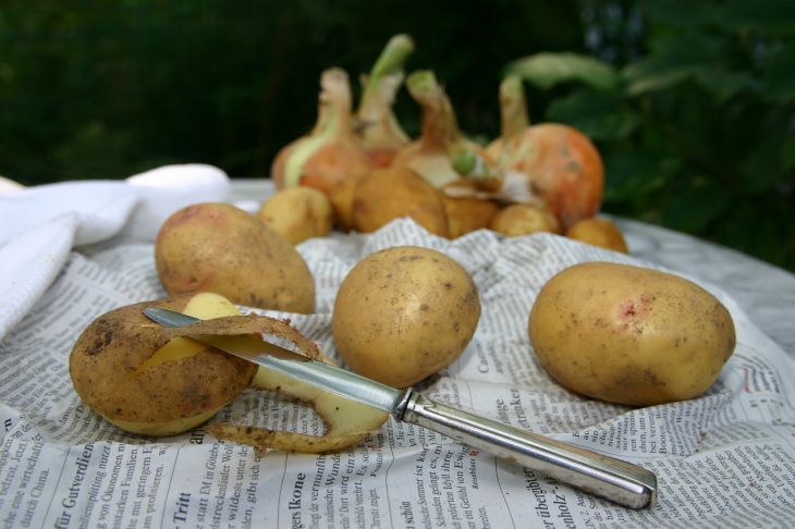 Зачем при варке картошки в кастрюлю кладут морковь: маленький секрет, меняющий вкус