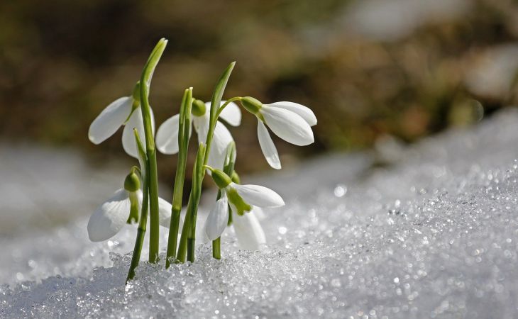 Весна, природа