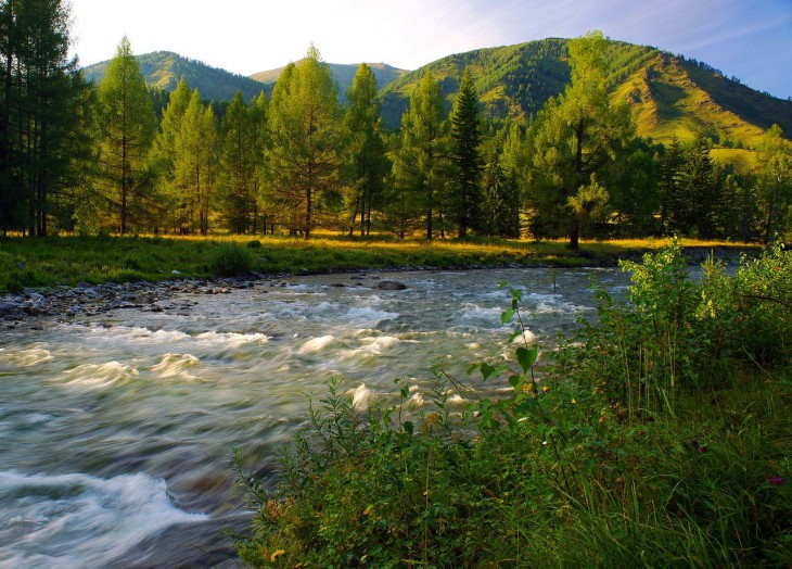 В Комсомольске-на-Амуре подростка унесло течением