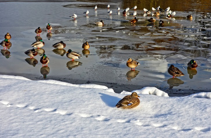  водоем