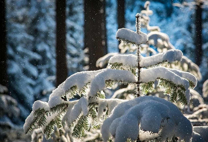 снегопад