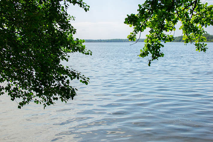 водоем