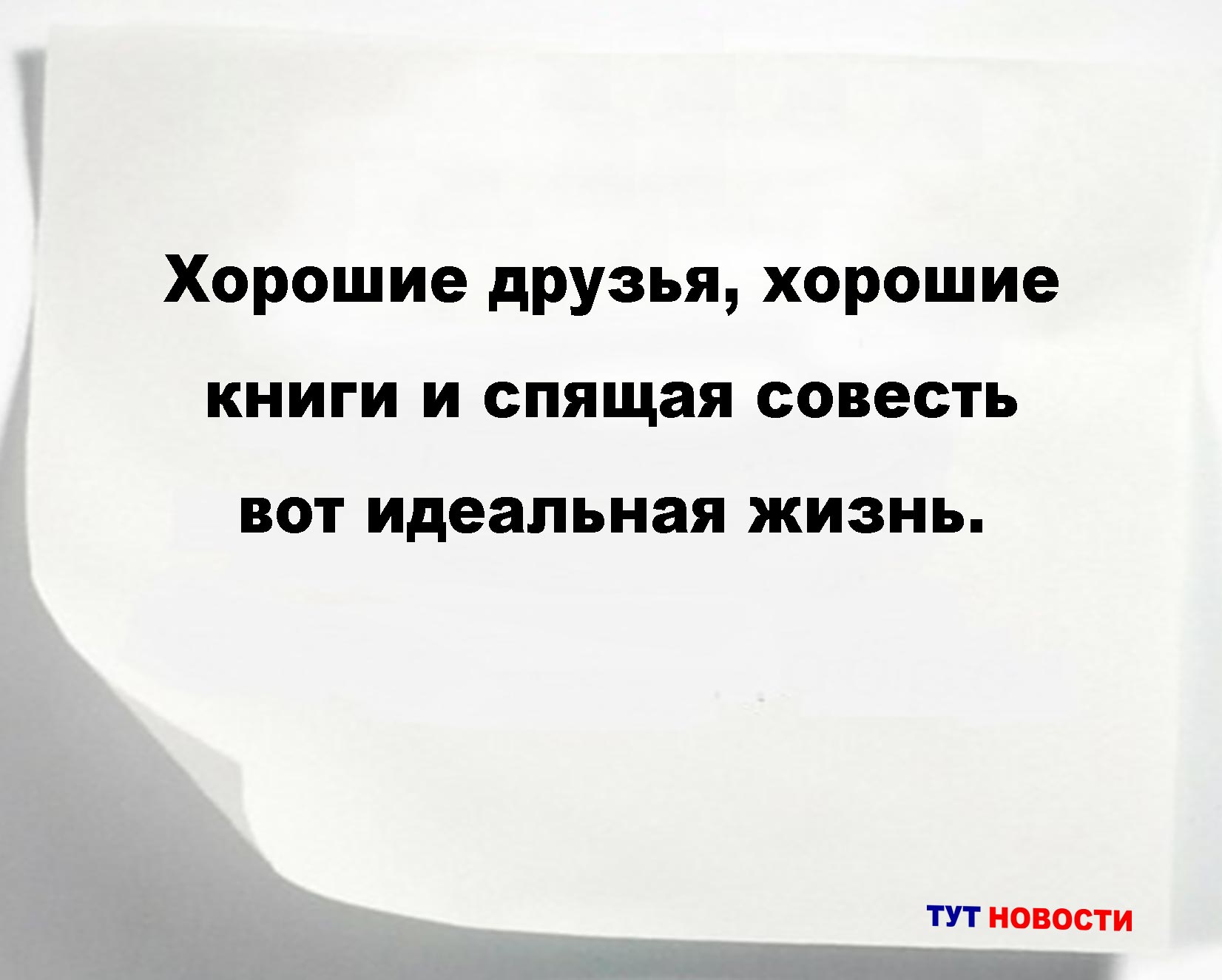 Хорошие друзья, хорошие книги и спящая совесть вот идеальная жизнь.