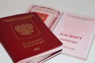 МВД рассказало о причинах аннулирования российского гражданства